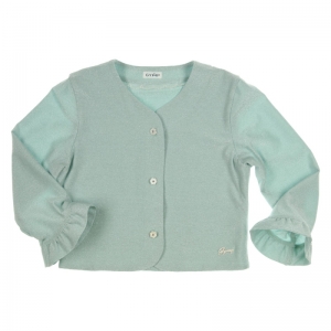 Gilet mint