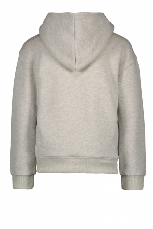 Hoodie met rits en streep 750