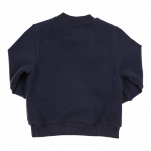 Sweater vis navy