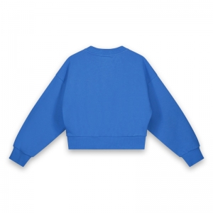 Sweater borduring 175