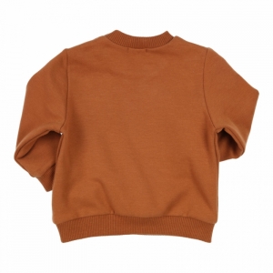 Sweater CARBONDOUX cognac