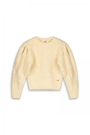 Pull tricot 406