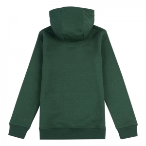 Hoodie 794