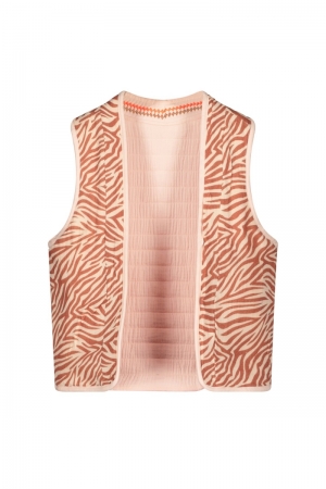 Gilet broderie 226