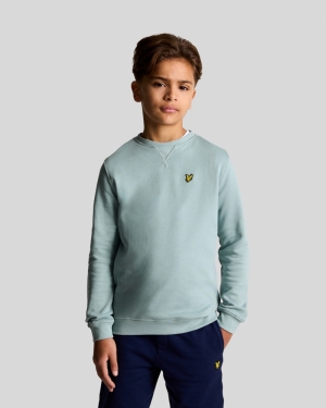 Sweater basis A19