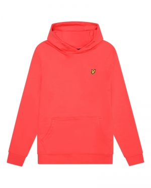 Hoodie logo X312