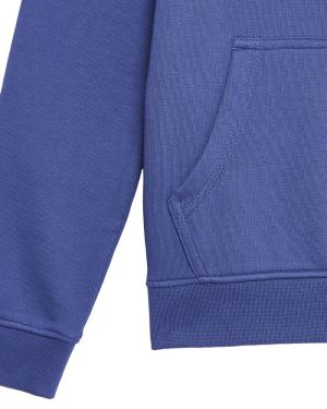 Hoodie logo x578