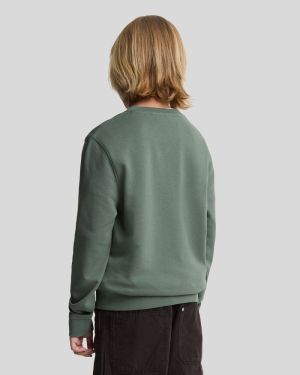 Sweater ronde hals  X583