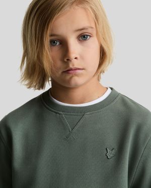 Sweater ronde hals  X583