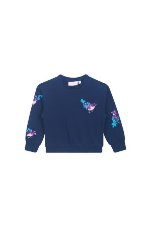Sweater vogels navy