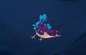 Sweater vogels navy