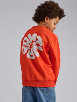 Sweater print op rug 325