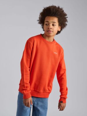 Sweater print op rug 325