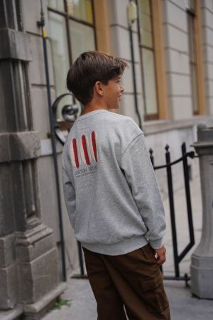 Sweater ronde hals grey melange
